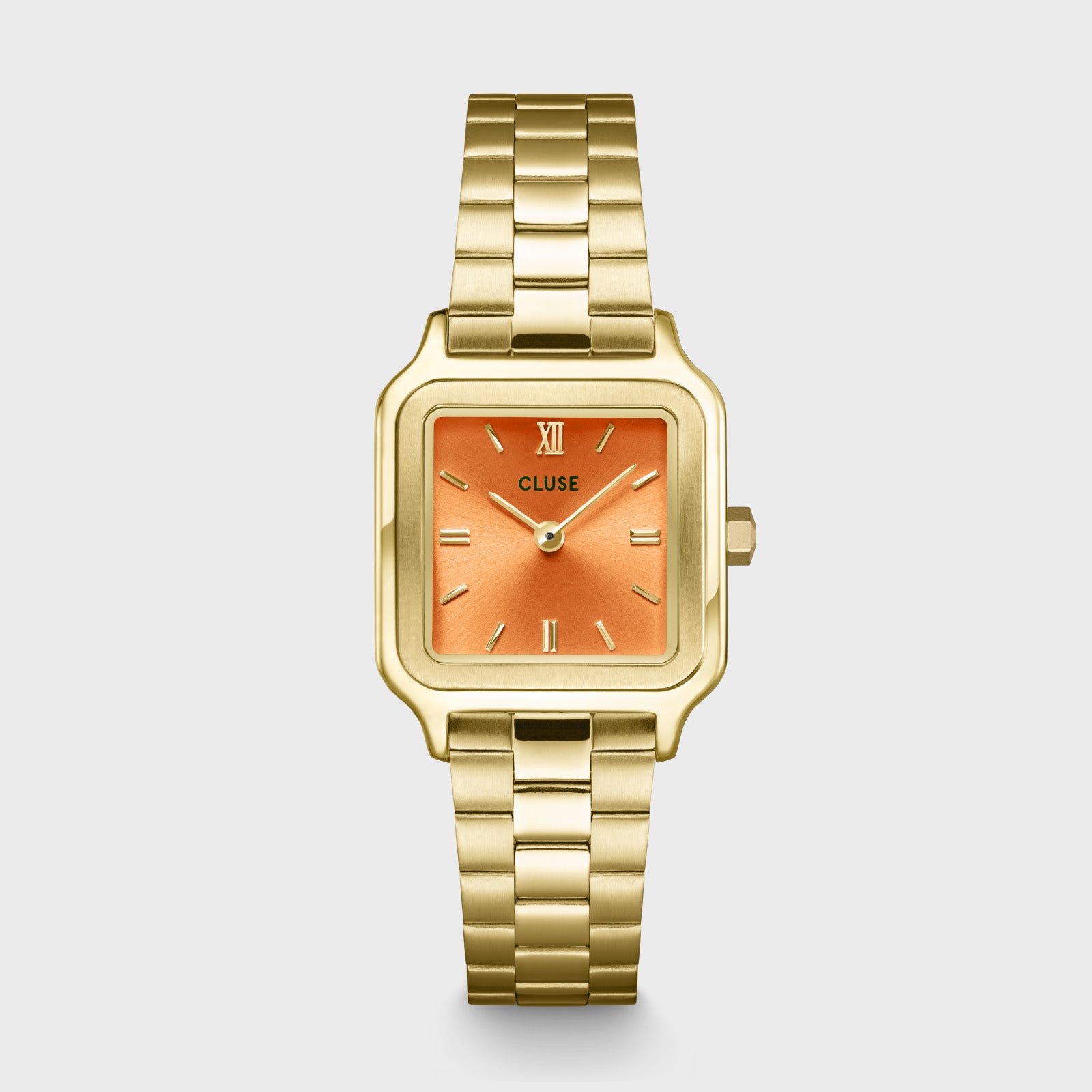CLUSE Gracieuse Petite CW11807 – Ρολόι 24 mm